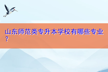 山東師范類專升本學(xué)校有哪些專業(yè)？