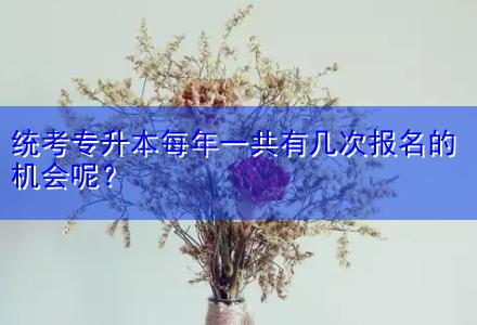 統(tǒng)考專升本每年一共有幾次報(bào)名的機(jī)會(huì)呢？