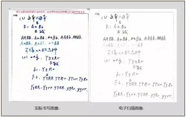 專升本考試答題中常見的錯(cuò)誤及應(yīng)對措施