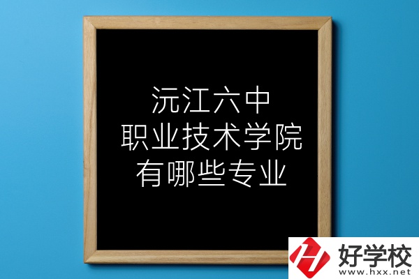 湖南沅江六中職業(yè)技術(shù)學(xué)院有哪些專業(yè)？