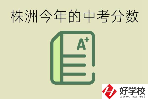 株洲今年中考多少分能上高中？沒(méi)考上有什么選擇？