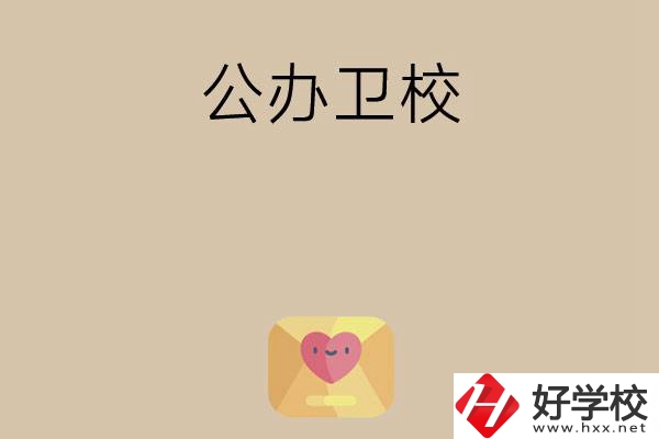 想在湖南上公辦衛(wèi)校？這所學(xué)校值得一看