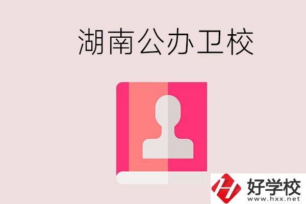 想在湖南上公辦衛(wèi)校可以選擇哪些學(xué)校？