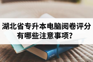 湖北省專升本電腦閱卷評分有哪些注意事項？