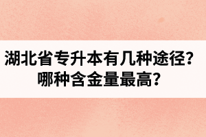 湖北省專升本有幾種途徑？哪種含金量最高？