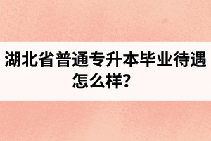 湖北省普通專升本畢業(yè)待遇怎么樣？