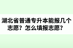 湖北省普通專升本能報(bào)幾個(gè)志愿？怎么填報(bào)志愿？