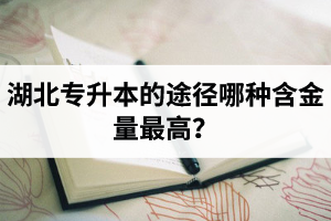 湖北普通專升本英譯漢段落翻譯分析應(yīng)該怎么做？