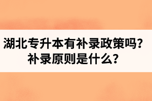 湖北專升本有補錄政策嗎？補錄原則是什么？