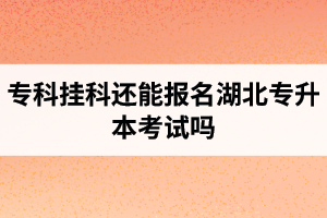 ?？茠炜七€能報名湖北專升本考試嗎？在哪里能獲取最新的專升本資訊？