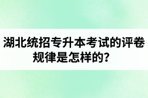 湖北統(tǒng)招專升本考試的評卷規(guī)律是怎樣的？怎么避免丟失細(xì)節(jié)分？