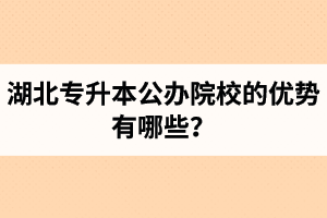 湖北專升本公辦院校的優(yōu)勢有哪些？為什么大家都想報(bào)公辦學(xué)校？