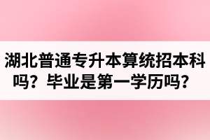 湖北普通專升本算統(tǒng)招本科嗎？專升本學(xué)歷是第一學(xué)歷嗎？