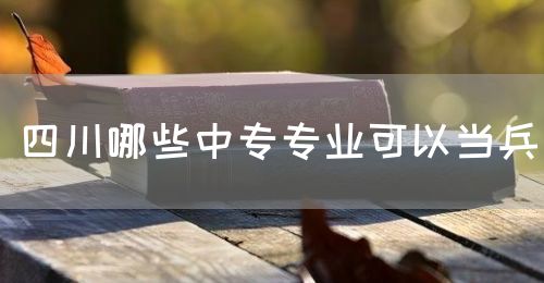 四川哪些中專專業(yè)可以當(dāng)兵(圖1)