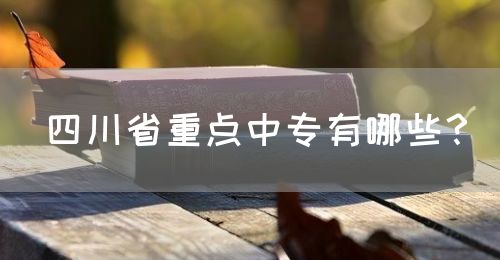 四川省重點(diǎn)中專有哪些？(圖1)