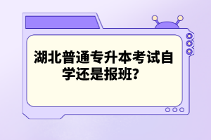 湖北普通專升本考試自學還是報班？