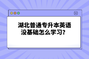 湖北普通專升本英語(yǔ)沒基礎(chǔ)怎么學(xué)習(xí)？