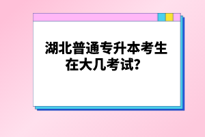 湖北普通專升本考生在大幾考試？