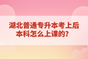 湖北普通專升本考上后本科怎么上課的？