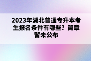 2023年湖北普通專升本考生報名條件有哪些？簡章暫未公布