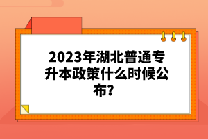 2023年湖北普通專升本政策什么時候公布？