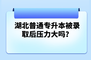 湖北普通專升本被錄取后壓力大嗎？