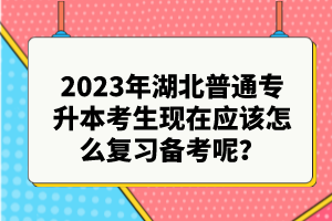 2023年湖北普通專升本考生現(xiàn)在應該怎么復習備考呢？