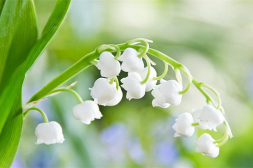 珠海專升本考試科目有多少門？有哪些？