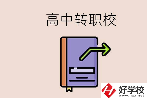 有在讀高中不想讀轉(zhuǎn)職校的例子嗎？能轉(zhuǎn)到湖南職校嗎？