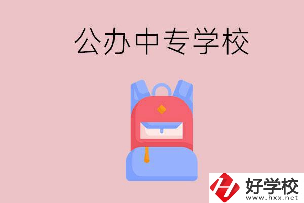 婁底有什么公辦中專(zhuān)學(xué)校？教學(xué)怎么樣？