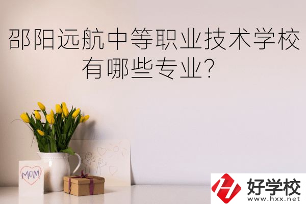 邵陽(yáng)遠(yuǎn)航中等職業(yè)技術(shù)學(xué)校有哪些專業(yè)？