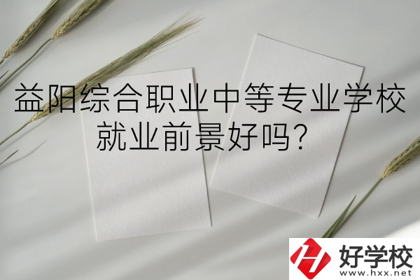 益陽綜合職業(yè)中等專業(yè)學(xué)校如何？就業(yè)前景好嗎？