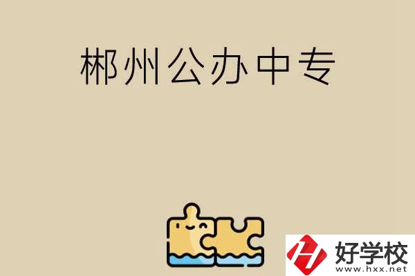 郴州公辦中專有哪些開設(shè)了電子商務(wù)專業(yè)？