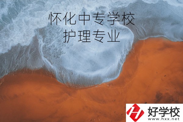 懷化有學(xué)護(hù)理專業(yè)的中專學(xué)校嗎？