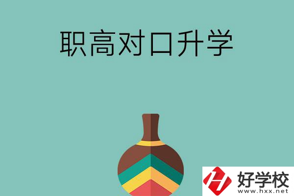 湖南職高對(duì)口升學(xué)可以考哪些大專？