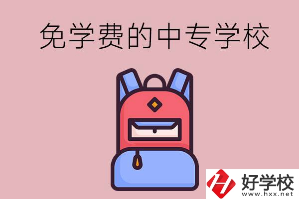 郴州市的中專哪些是免學(xué)費(fèi)的？