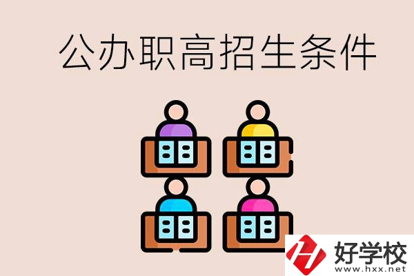 邵陽市有哪些公辦職高？學校的招生條件是什么？