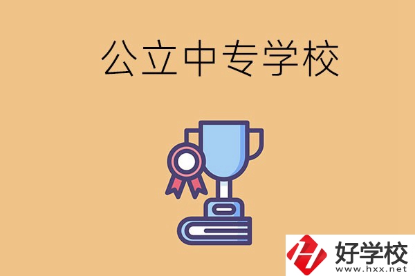 常德的公立中專學(xué)校有哪些？有什么特色？