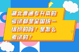 湖北普通專升本的考試都是全國統(tǒng)一組織的嗎？是怎么考試的？