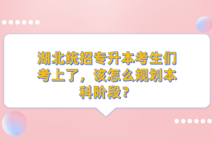 湖北統(tǒng)招專升本考生們考上了，該怎么規(guī)劃本科階段？