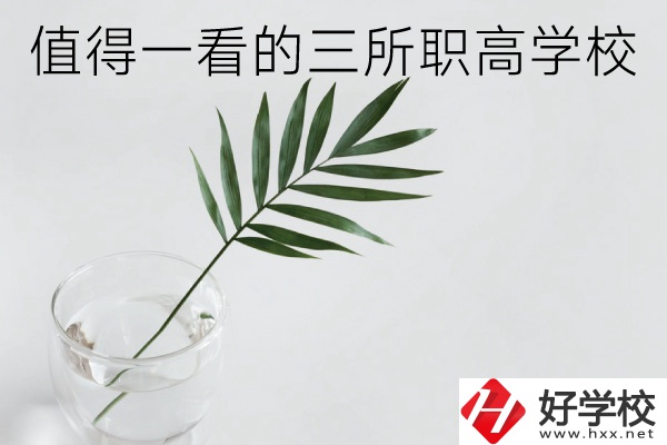 湖南有什么好的職高學(xué)校？這3所學(xué)校值得一看！