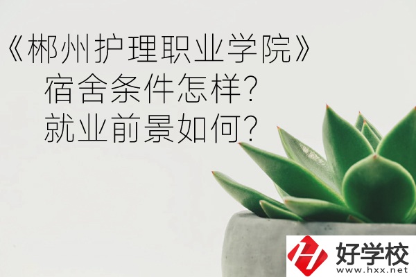 郴州護理職業(yè)學院宿舍條件怎樣？就業(yè)前景如何？