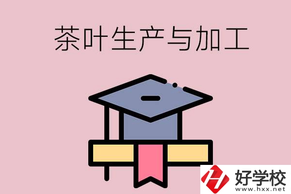 湖南哪些技校開設(shè)了茶葉生產(chǎn)與加工專業(yè)？