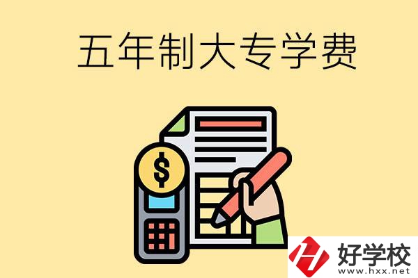 在長沙讀五年制大專一年學(xué)費是多少？有補(bǔ)貼嗎？