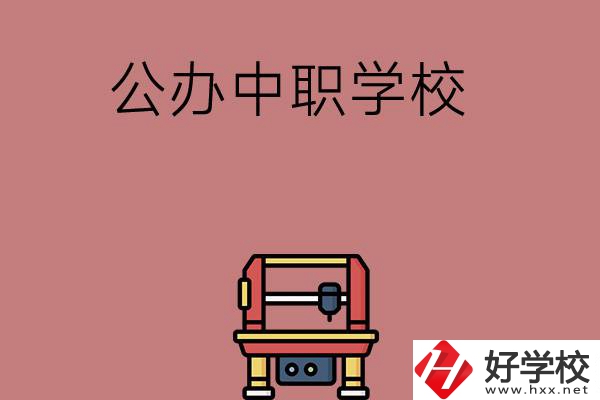 長沙可以學計算機應用專業(yè)的公辦中職學校有哪些？