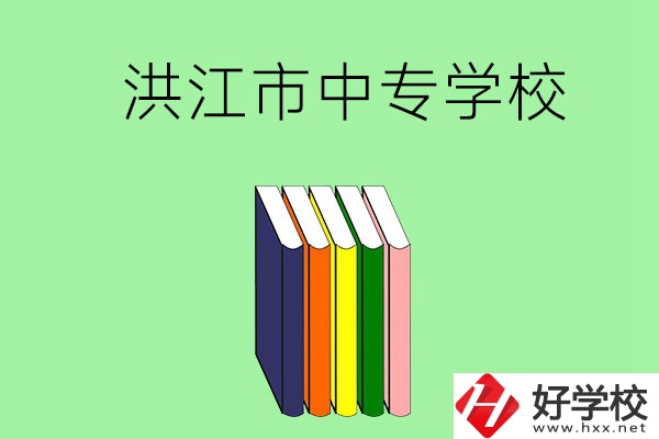 懷化洪江市有哪些職業(yè)中專學(xué)校？