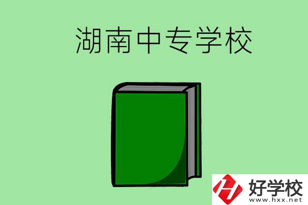 湖南的中專學(xué)校有哪些？都開設(shè)了哪些專業(yè)？