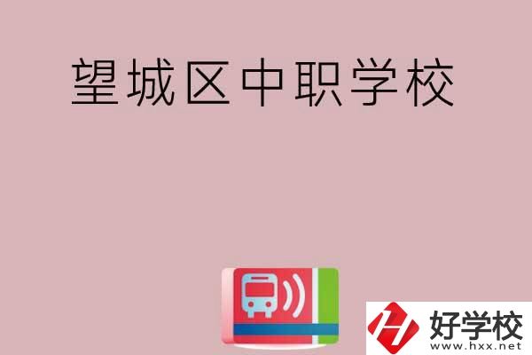 長沙望城區(qū)有哪些中職學(xué)校？