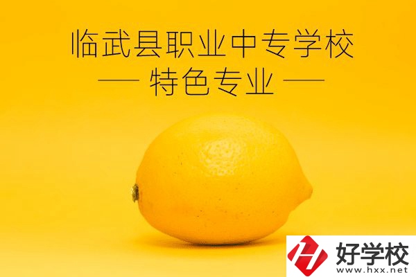 臨武縣職業(yè)中專學校好嗎？有哪些特色專業(yè)？