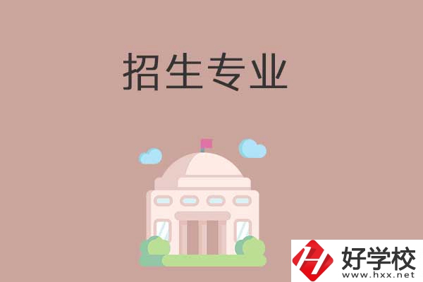 益陽(yáng)有哪些高職院校設(shè)立了中職部？招生專業(yè)有哪些？